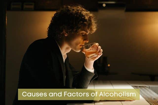 Causes-and-Factors-of-Alcoholism