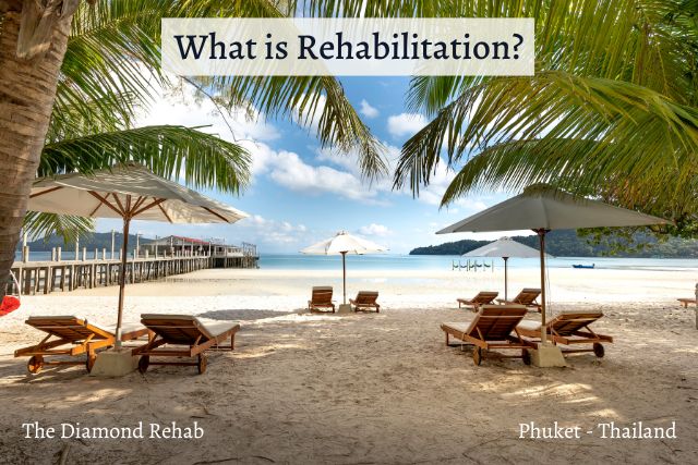 What is Rehabilitation? sign and tropical view