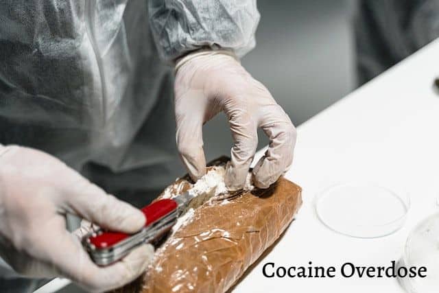 person-in-gloves-holding-a-pocket-knife-with-cocaine-from-a-brown-package