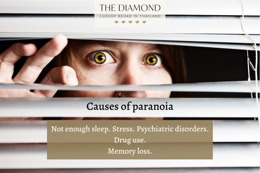 Causes of paranoia list