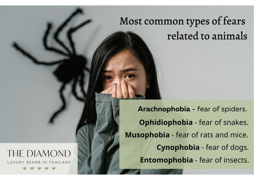 List of most common types of fear to animals.