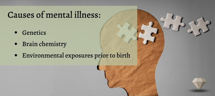 Causes of mental illness sign with a list