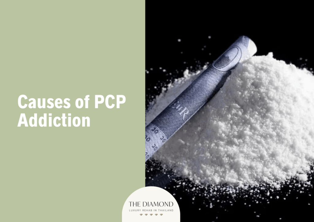 9 Causes of PCP addiction