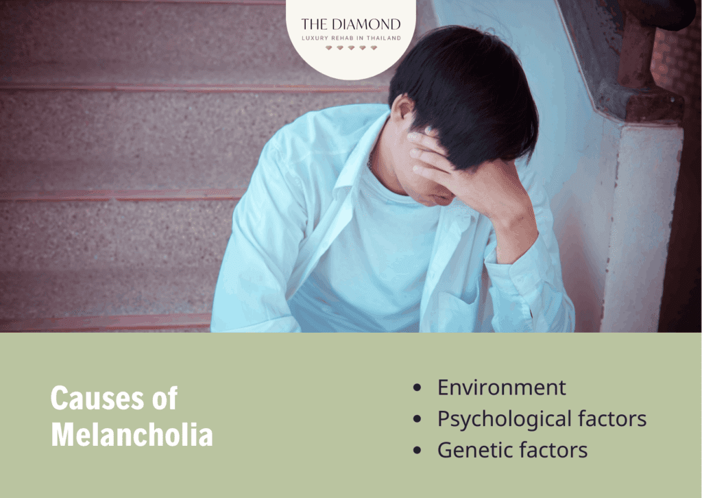 causes of melancholia