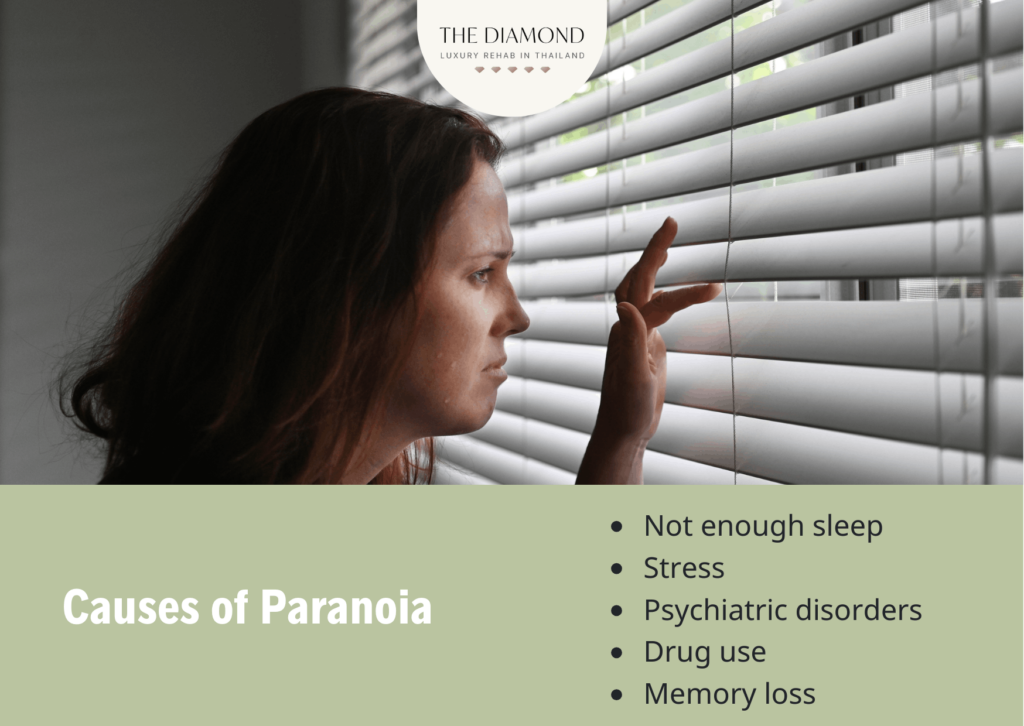 paranoia causes