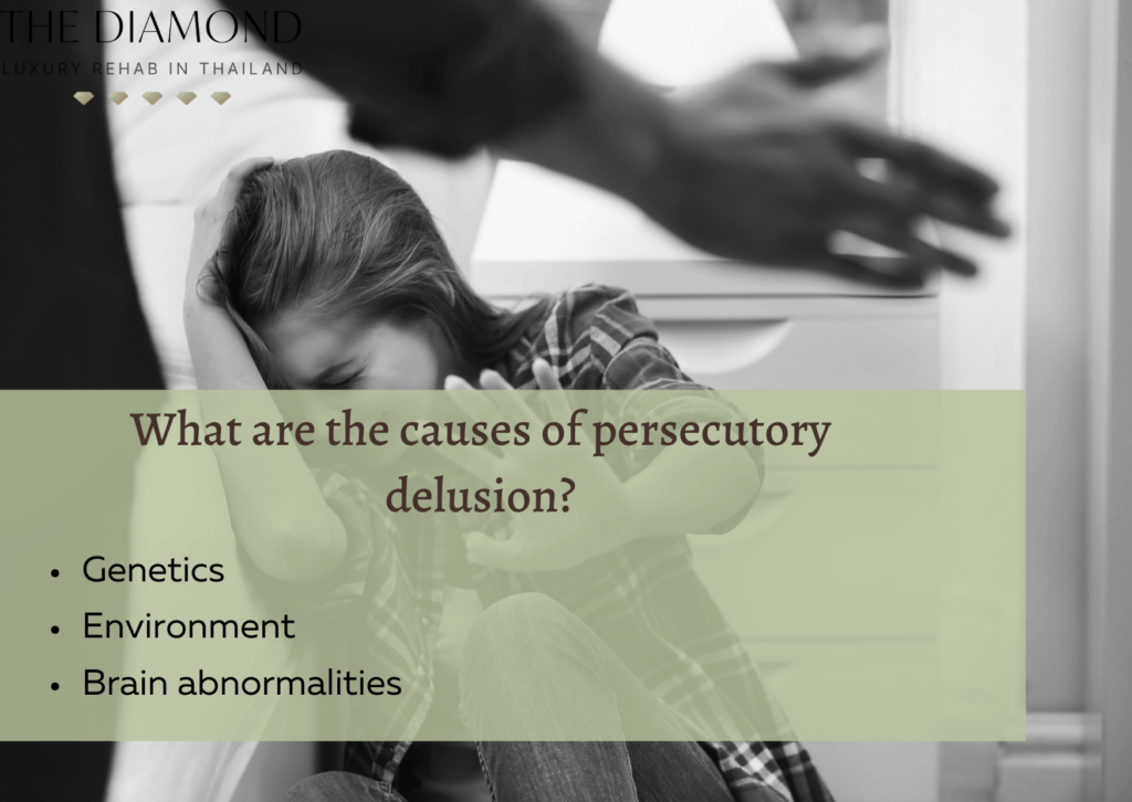 persecutory delusion causes