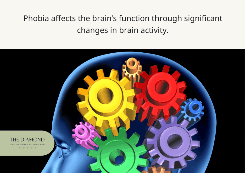 phobia effect on brain function