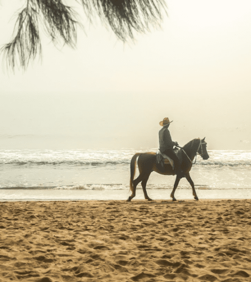 Horseback Riding Adventures on the beach