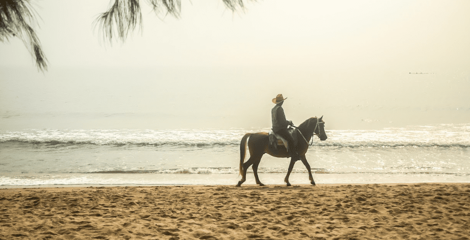 Horseback Riding Adventures on the beach
