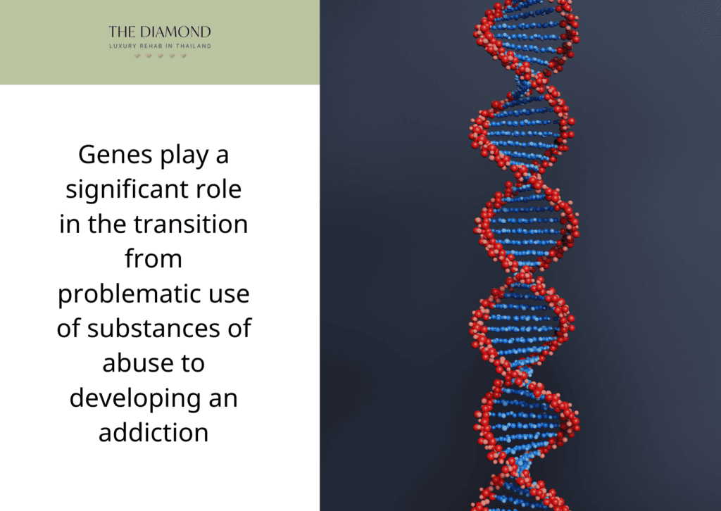 A picture showing genes.