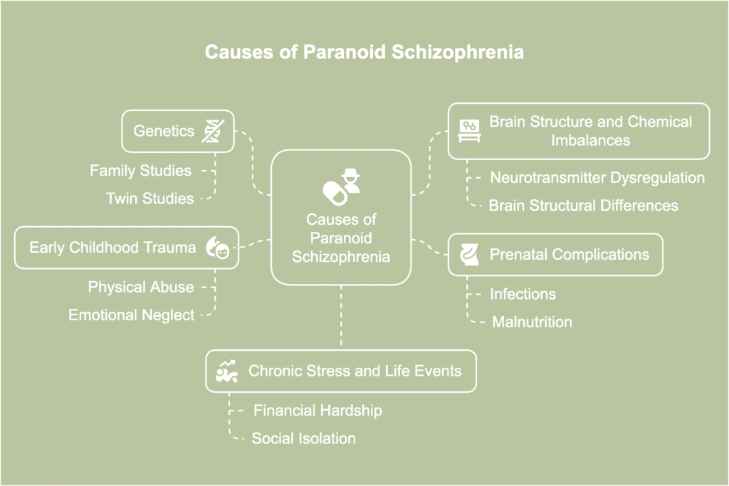 paranoid schizophrenia causes.