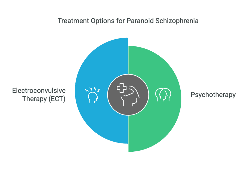 A visual picture showing paranoid schizophrenia treatment options.