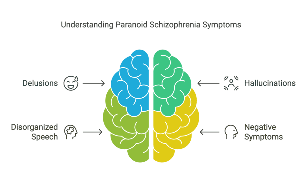 A picture showing symptoms of paranoid schizophrenia.