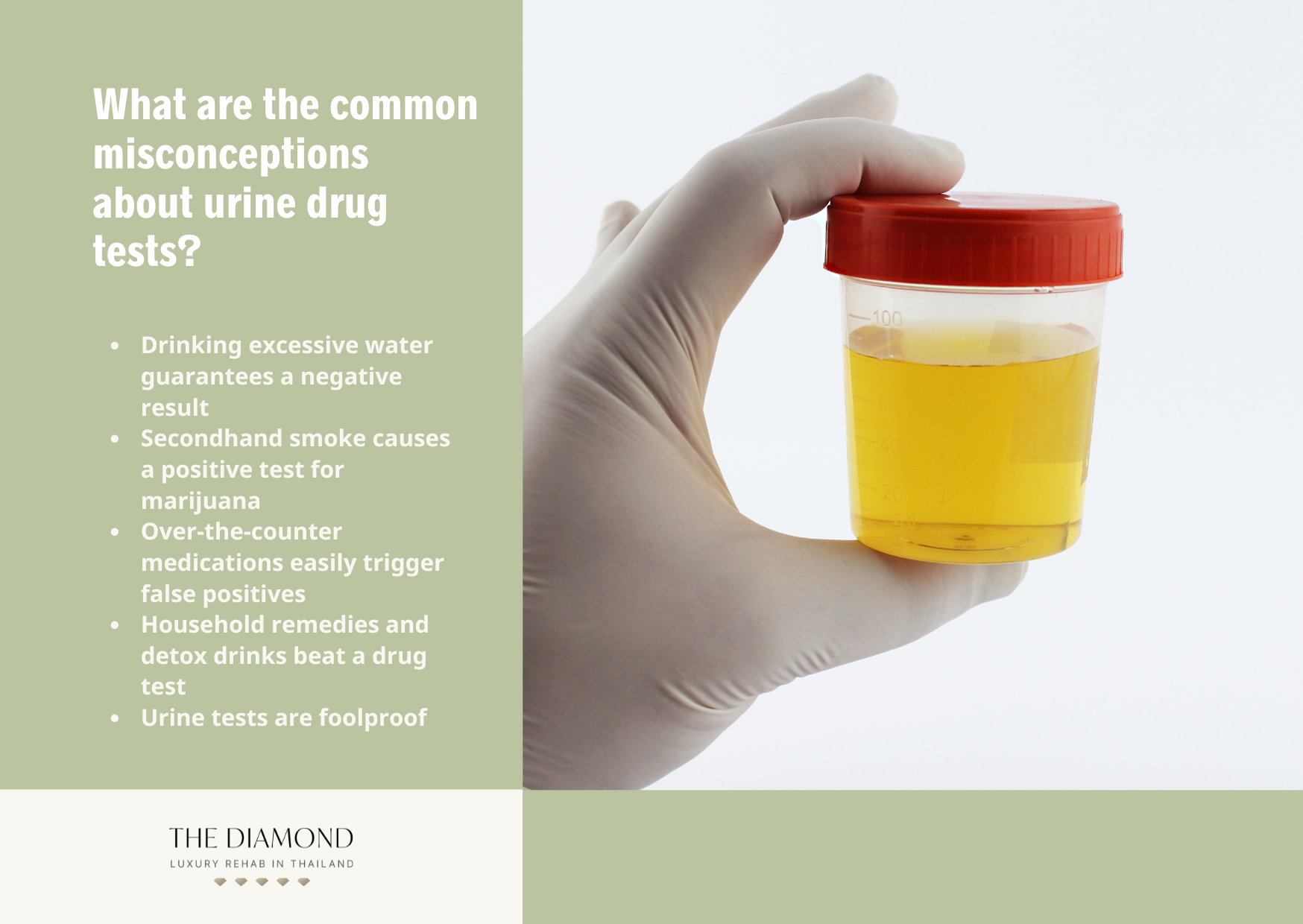 Urine drug test: how long will drugs show in a urine test? - The - How Common Is A Negative Dilute Drug Test