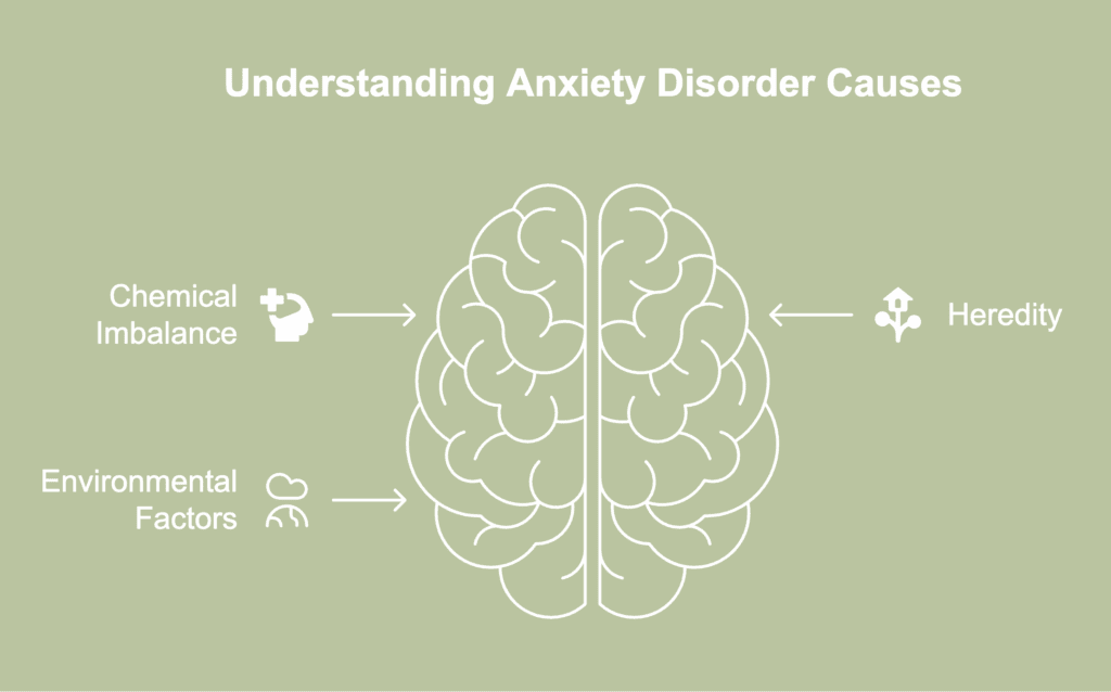 A picture showing causes of anxiety disorder.