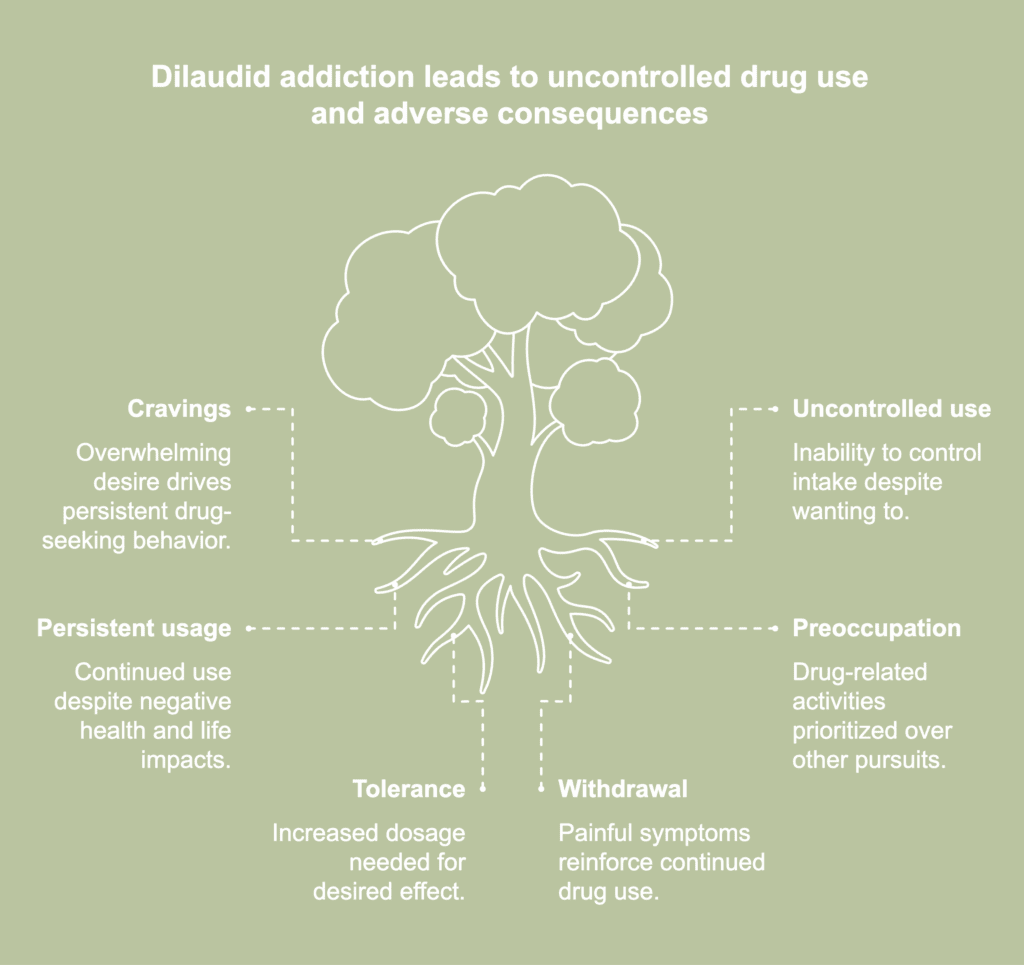 A visual representation of Dilaudid addiction symptoms.