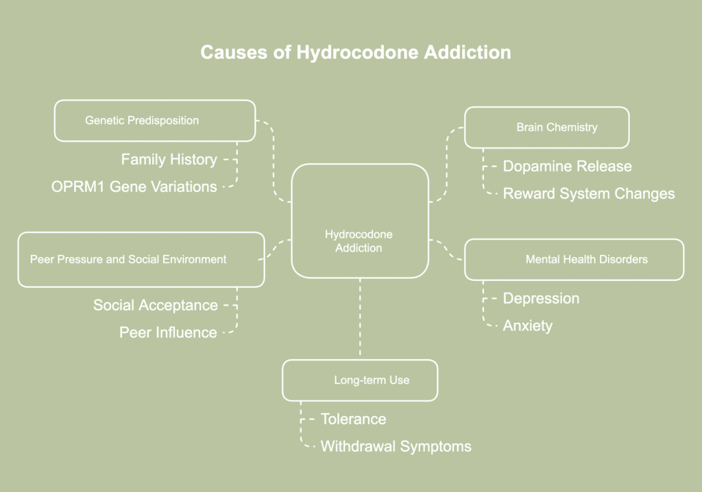 A picture showing the causes of hydrocodone addiction.