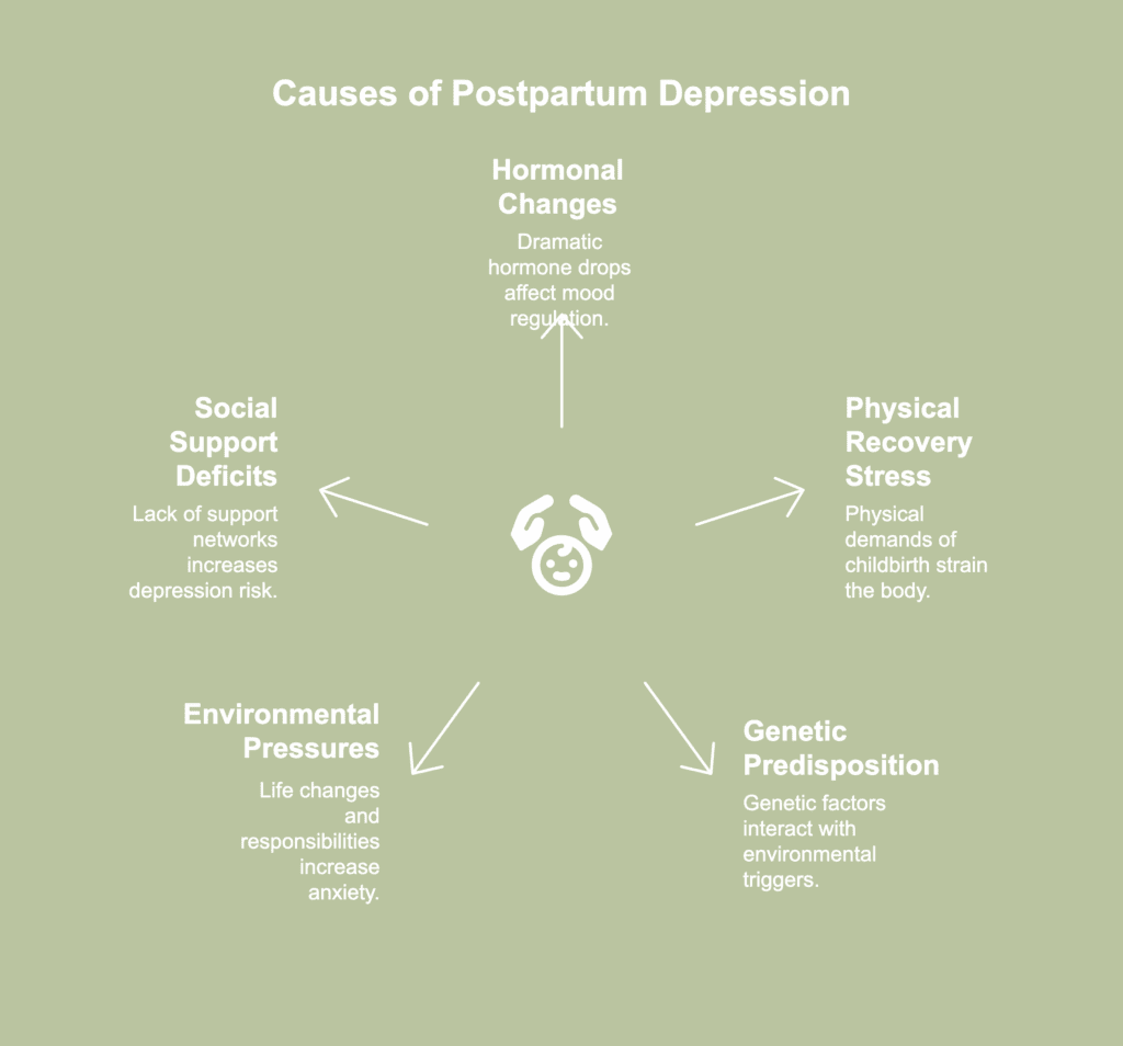 A picture showing causes of postpartum depression.
