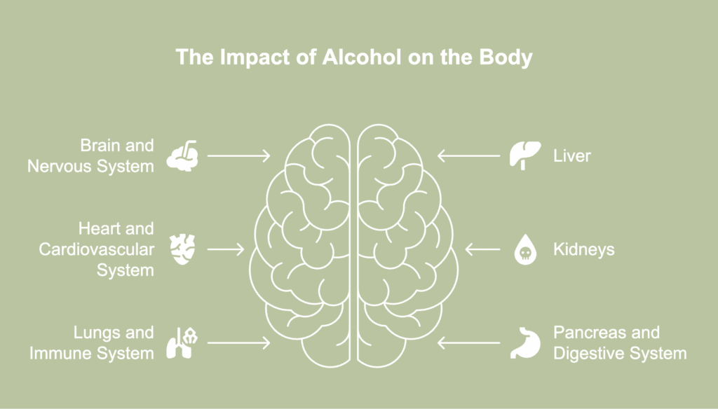 A picture showing the impact of alcohol on the body.