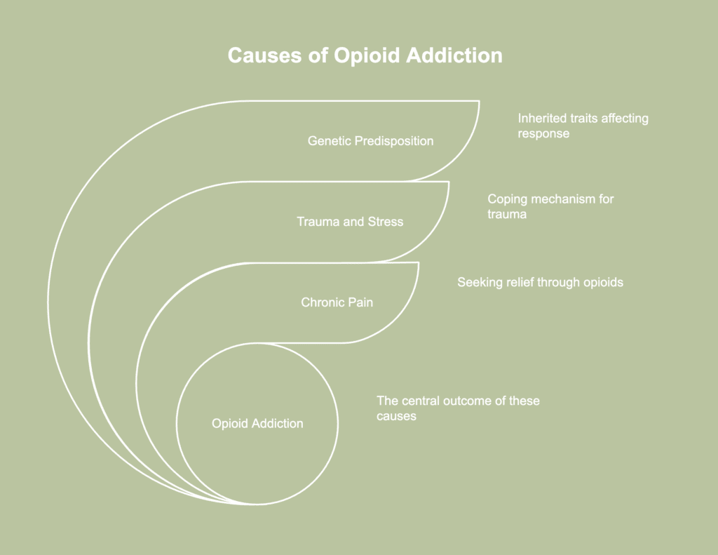 A picture showing causes of opioid addiction.