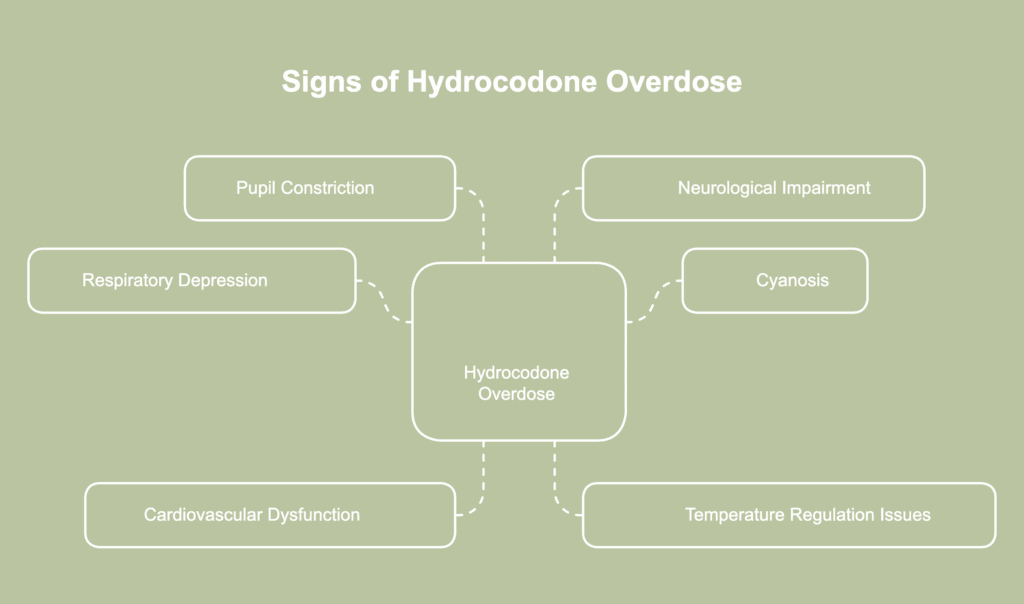 An illustrative picture showing signs of hydrocodone overdose.
