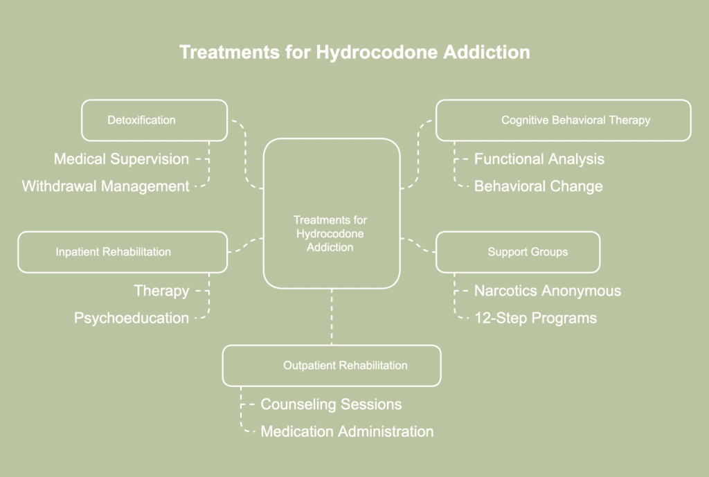A picture with treatments for hydrocodone addiction.