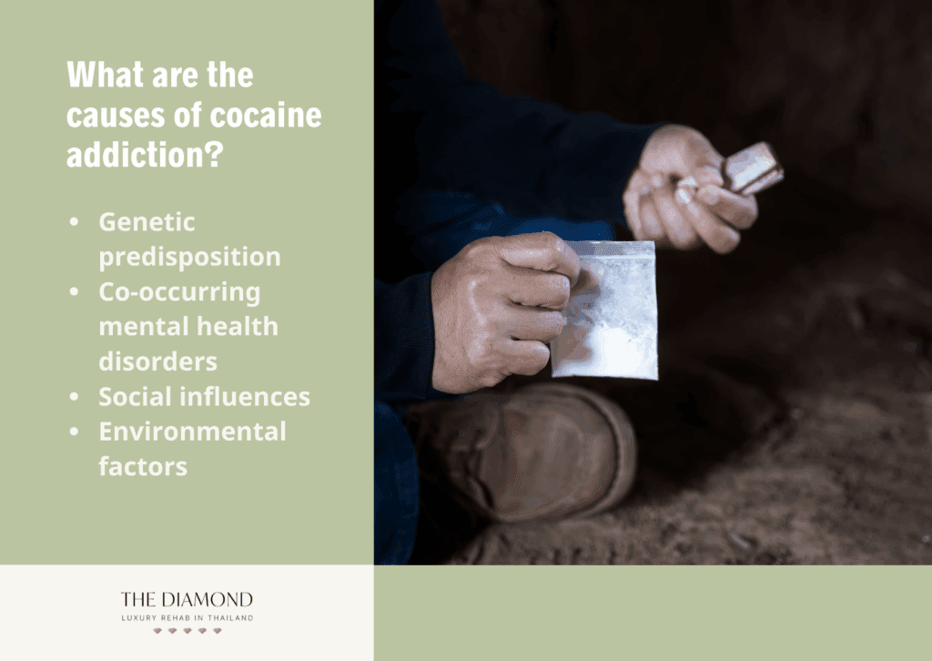 A picture showing causes of cocaine addiction.