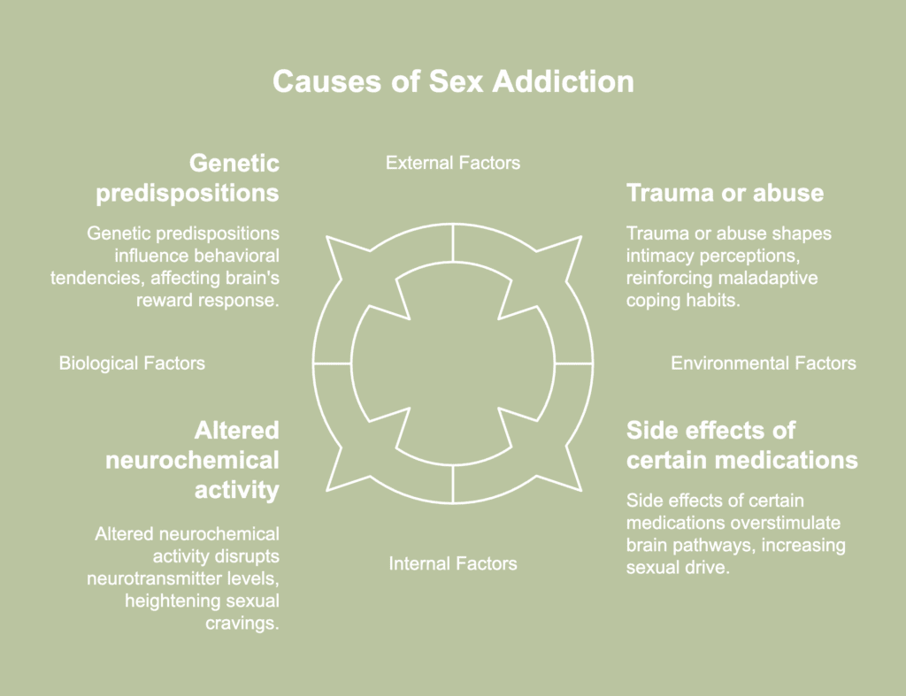 A picture showing causes of sex addiction.