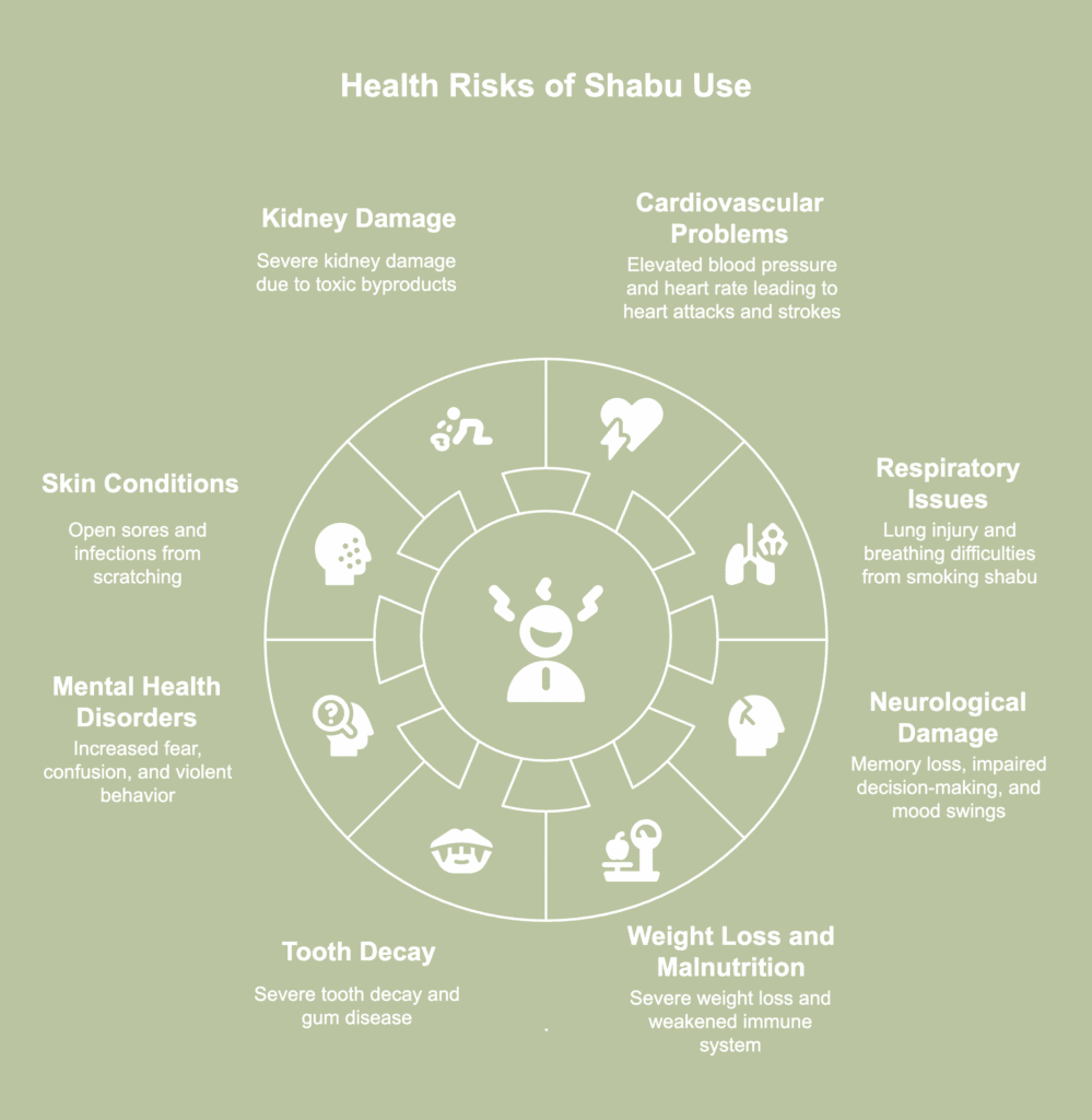 An illustrative picture showing health risks of shabu use.