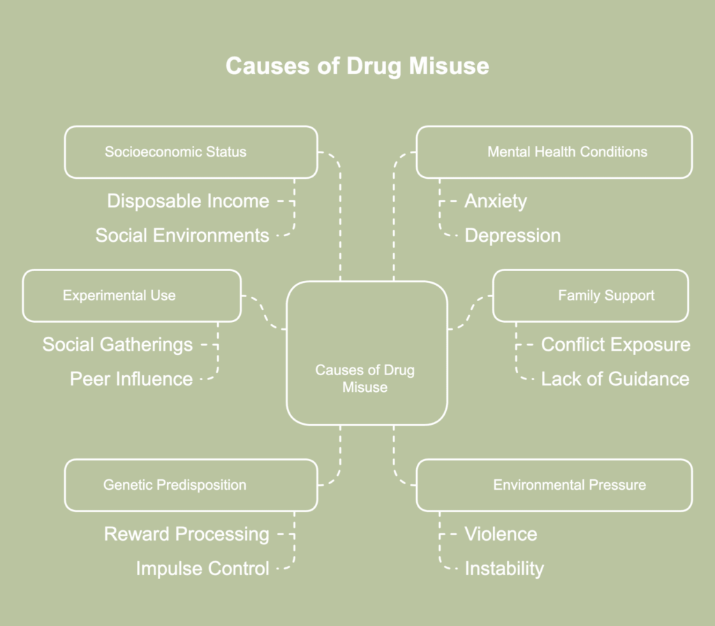 A visual representation of causes of drug misuse.