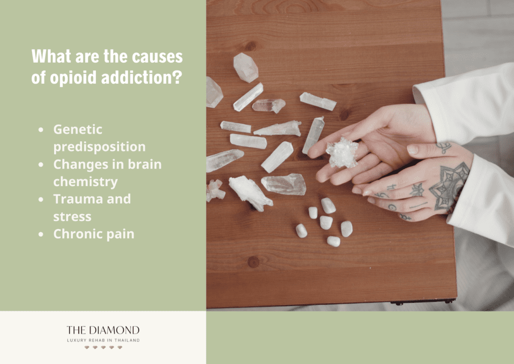 A picture showing opioid addiction causes.