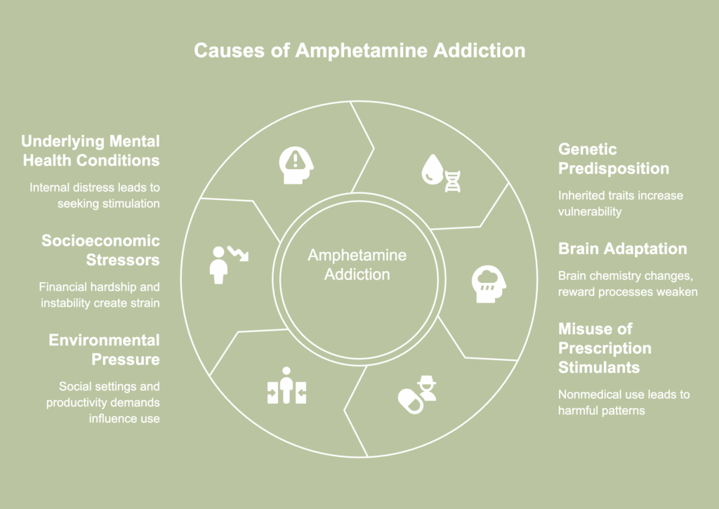 An illustrative picture showing causes of amphetamine addiction.